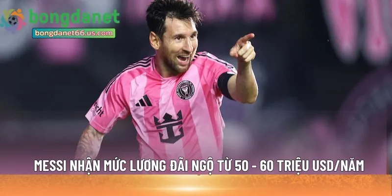 50 - 60 triệu USD/năm