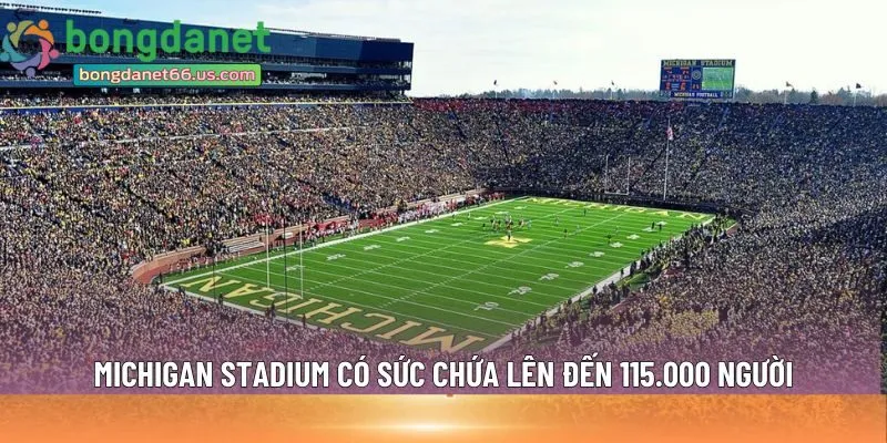 Michigan Stadium