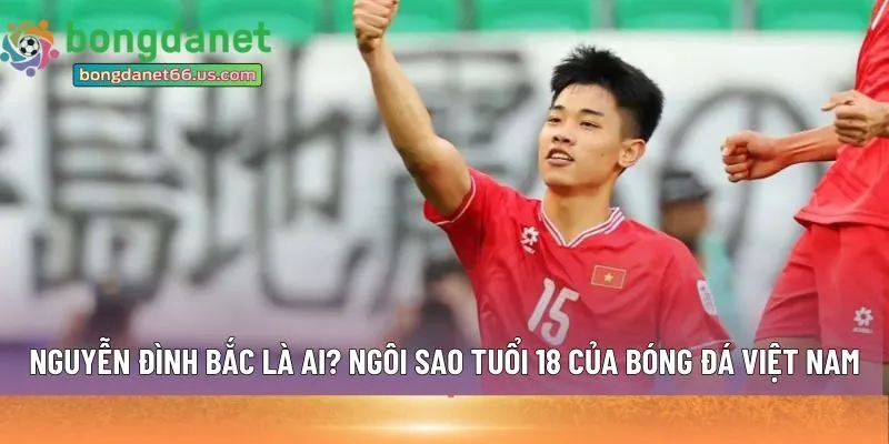 Nguyễn Đình Bắc là ai