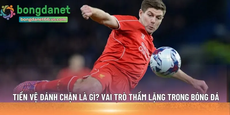 Tiền vệ đánh chặn là gì